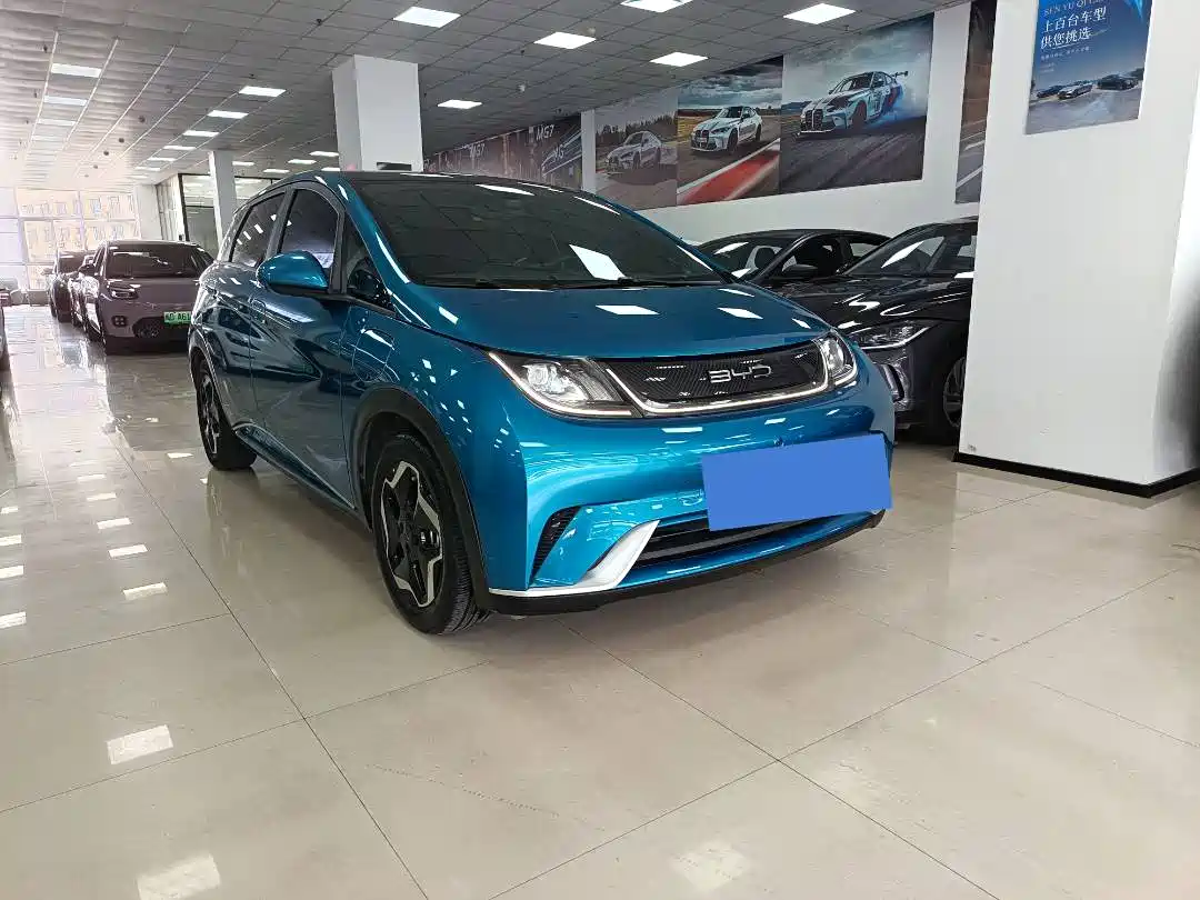BYD DOLPHIN