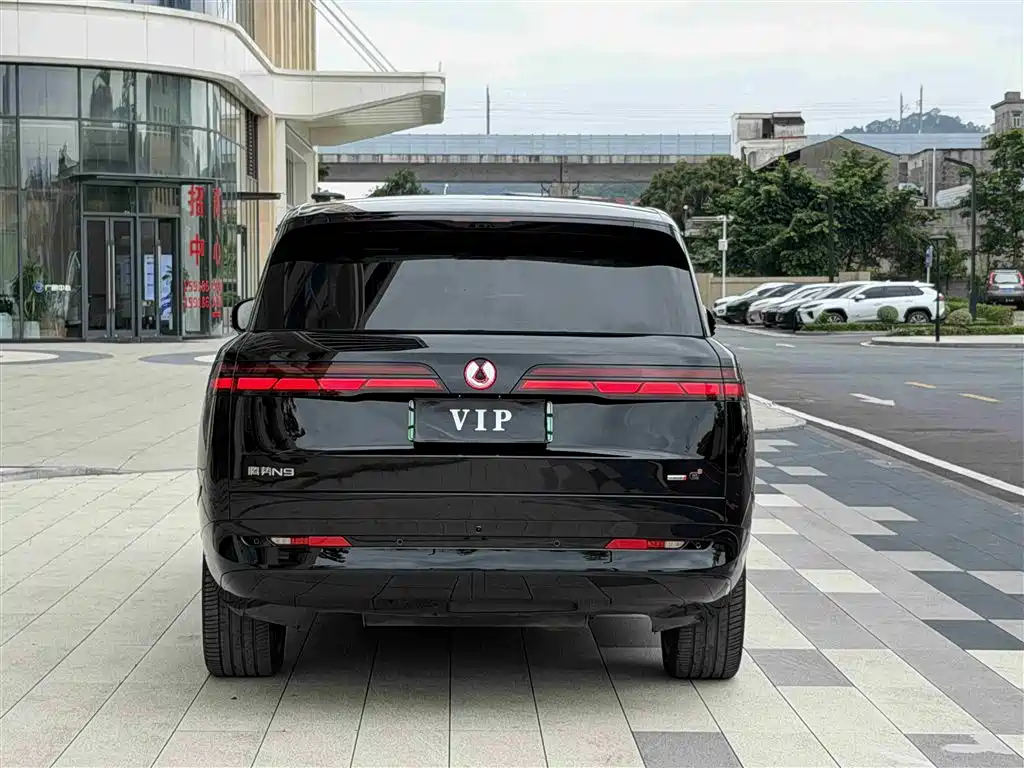 Denza N9 2025 Model Premium Excellence фото 8