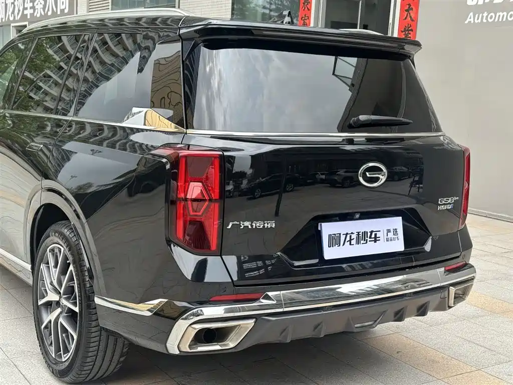 GAC Trumpchi Trumpchi GS8 2022 Dual Engine Series 2.0TM 2WD Premium Edition (6-Seater) фото 23