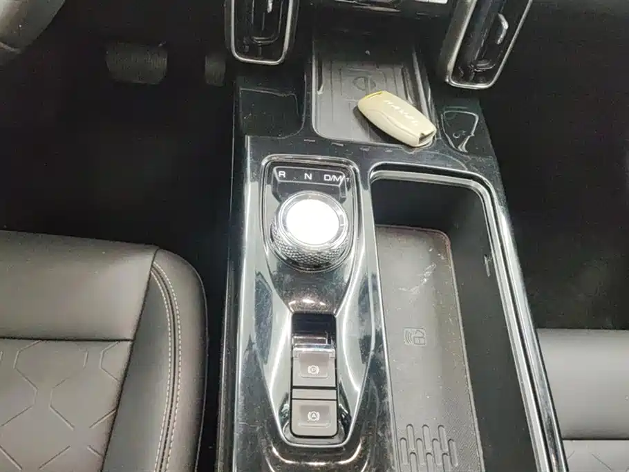 Haval Big Dog 2021 1.5T DCT 2WD Border Collie Edition фото 16