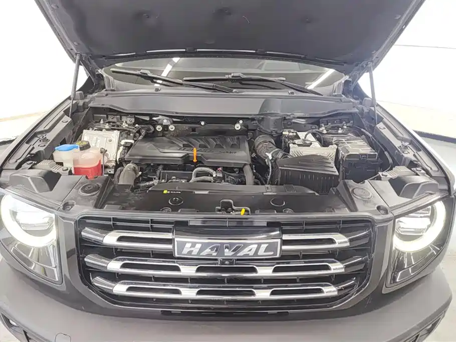 Haval Big Dog 2021 1.5T DCT 2WD Border Collie Edition фото 10