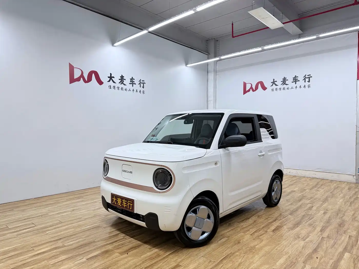 Geely Galaxy Panda 2023 2023 Panda Mini 200km Endurance Bear