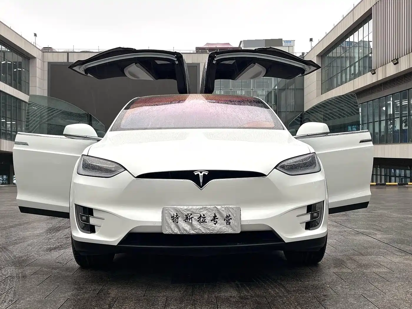 TESLA MODEL X