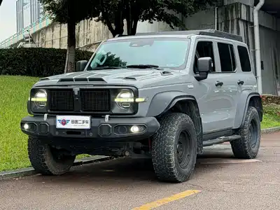 Tank 300