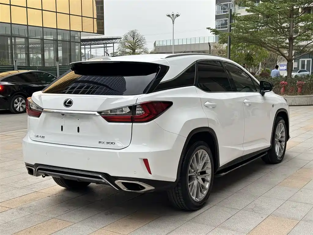 Lexus RX 2016 300 AWD F SPORT Edition China V фото 6