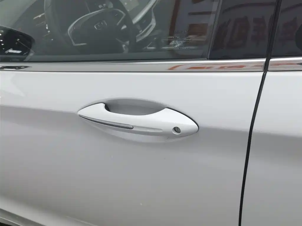 GEELY AUTOMOBILE BORUI NEW ENERGY