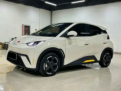 BYD Seagull