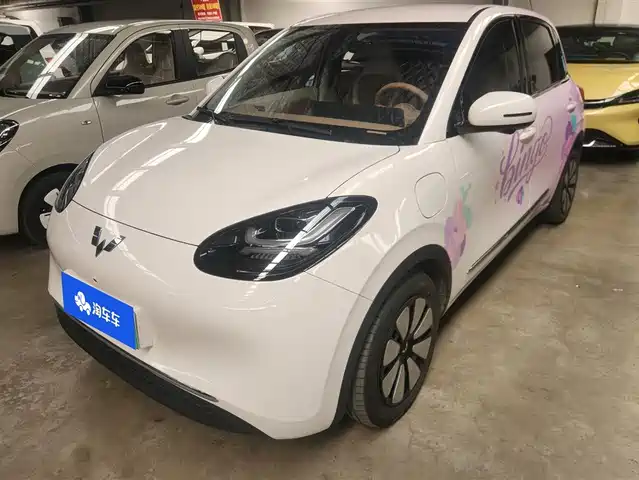 WULING WULING BINGGUO