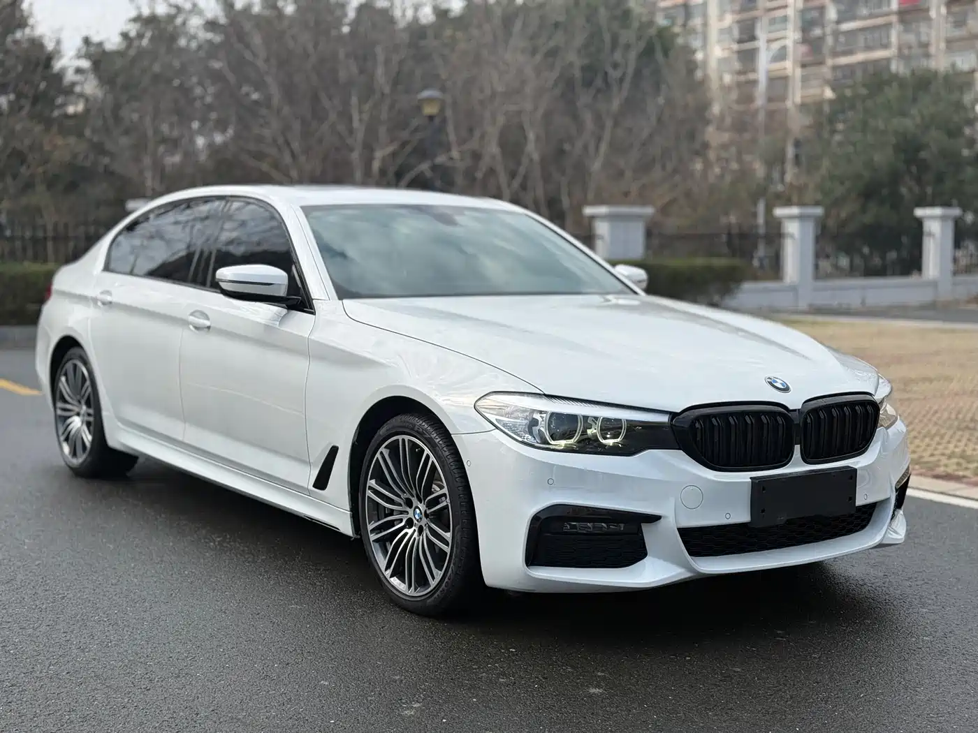 BMW 5 Series 2019 530Li Leading M Sport Package фото 3