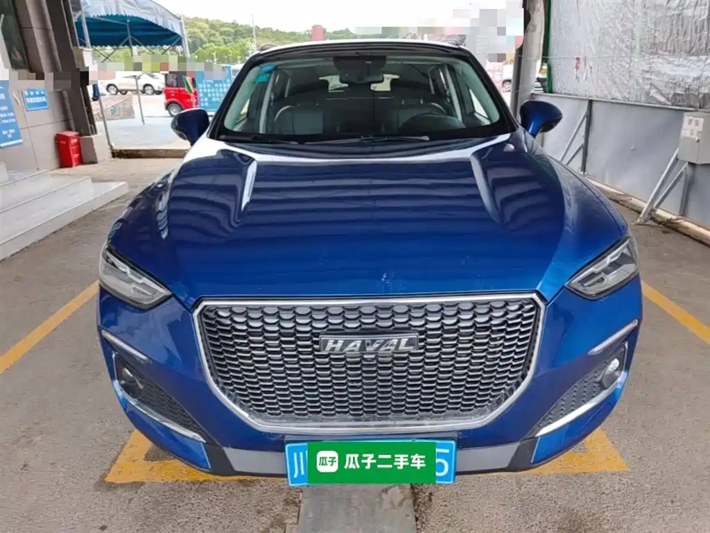 Haval F5 2019 National Trend Edition 1.5T iStyle China VI фото 3