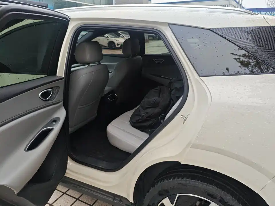 BYD SEA LION 06 NEW ENERGY