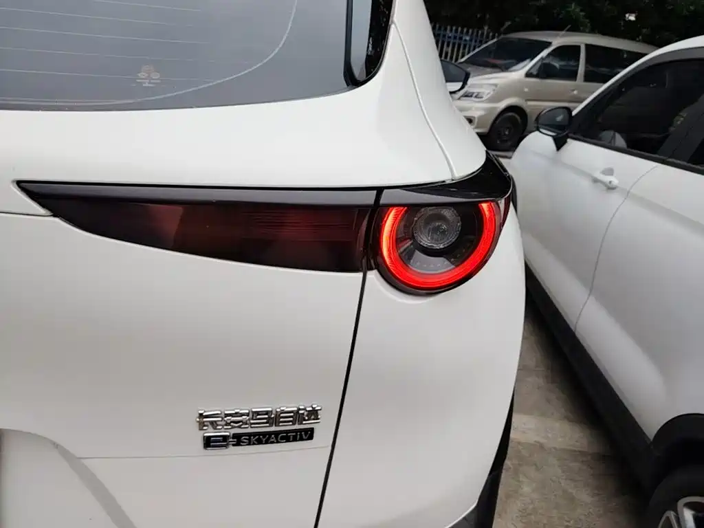 Mazda CX-30 EV 2023 2021 Pure Electric Enjoyment Edition