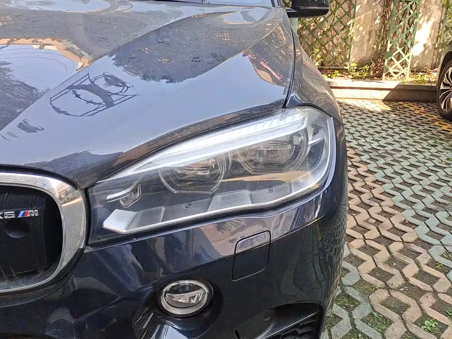 Photo 5 - BMW X6 M