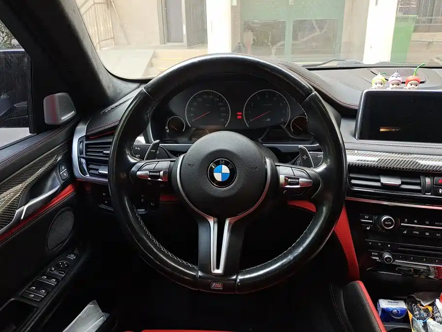 Photo 15 - BMW X6 M