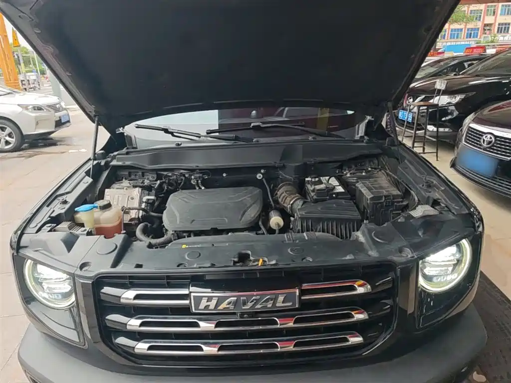 Haval Big Dog 2022 1.5T DCT FWD Labrador Edition фото 20
