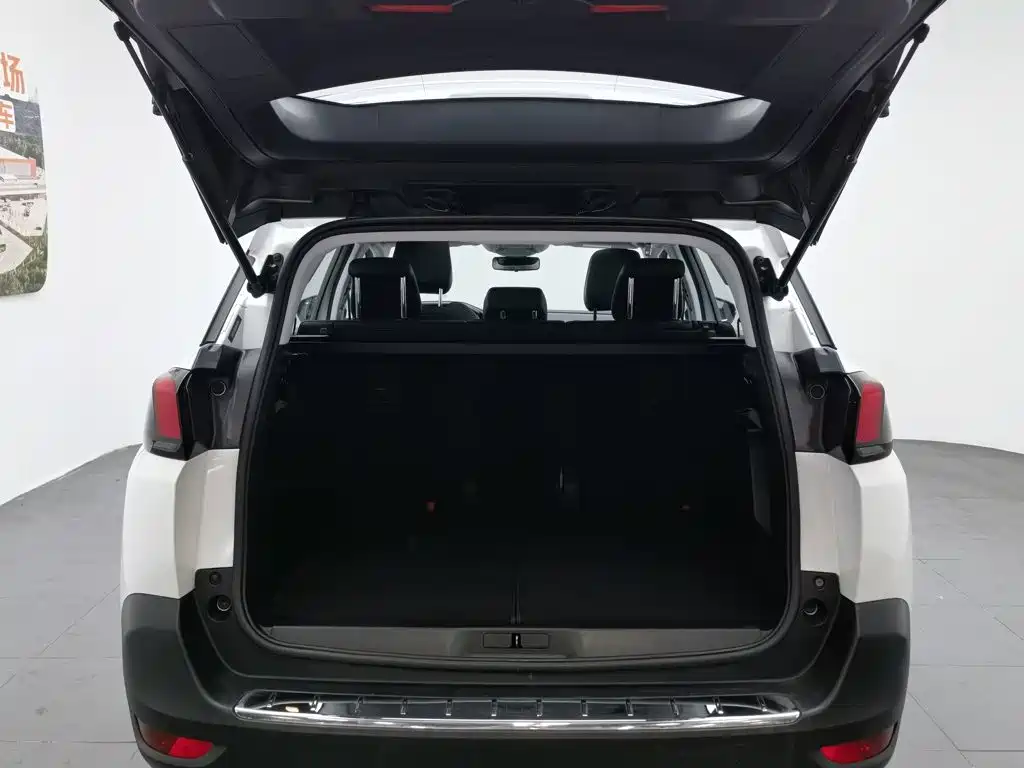 Фото 16 - Peugeot 5008