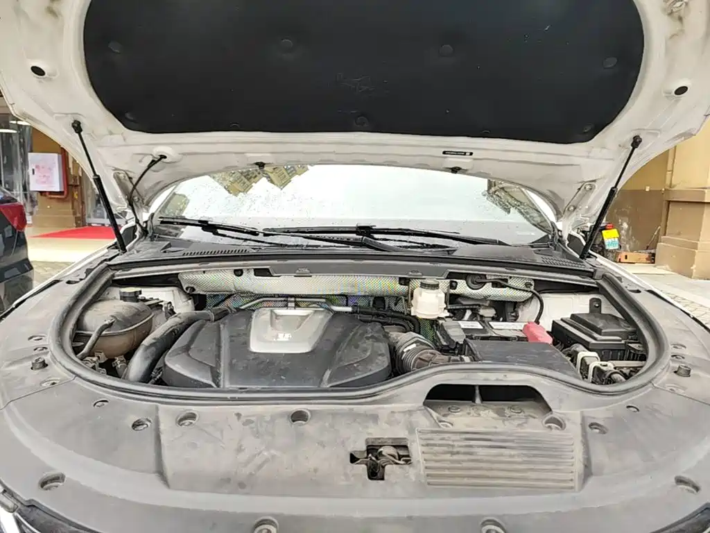 Photo 20 - BYD Tang