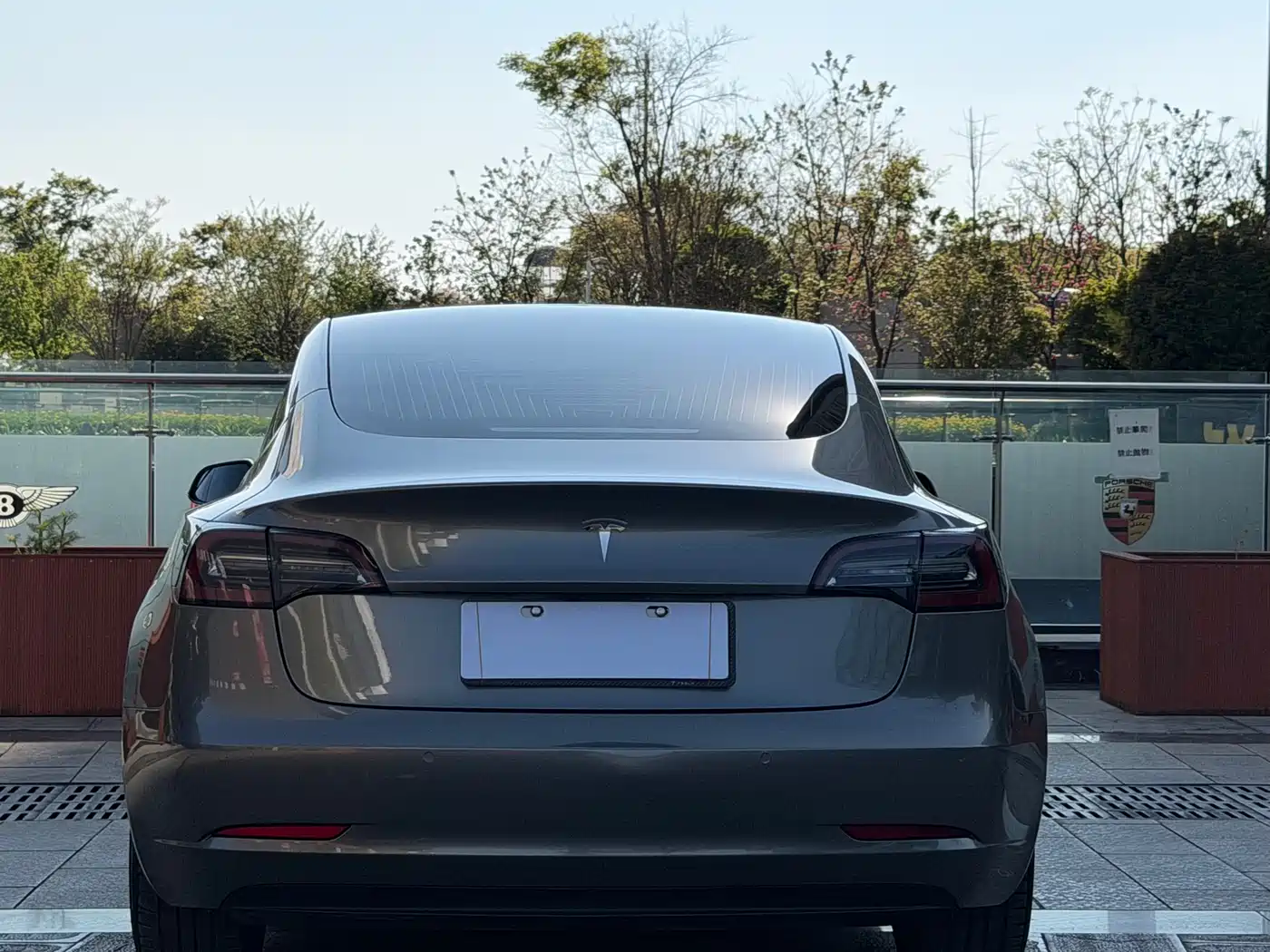 TESLA MODEL 3