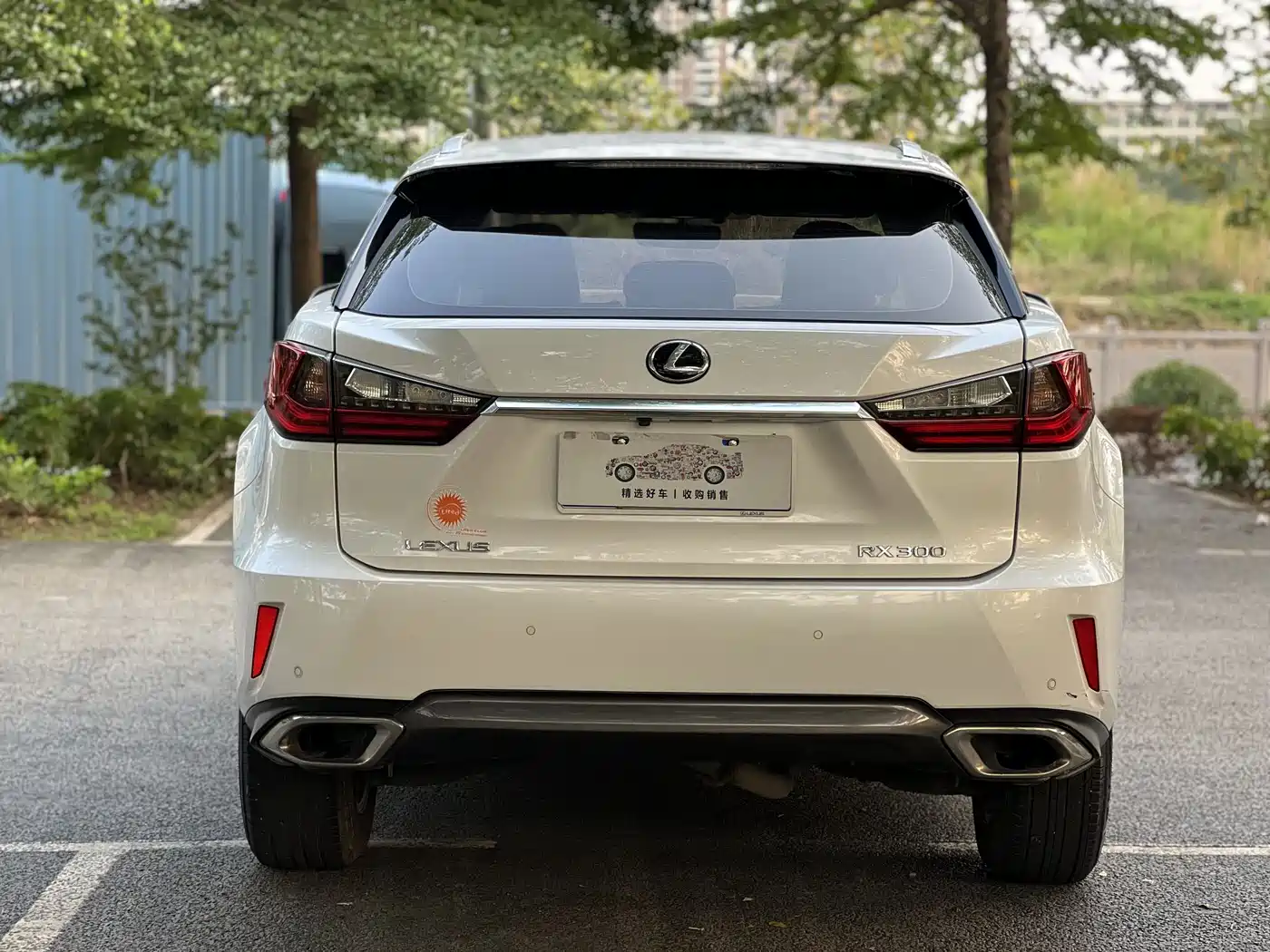 LEXUS RX