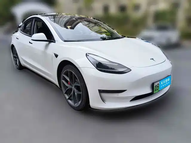 Tesla Model 3 2022 Performance High-Performance AWD — фото 3