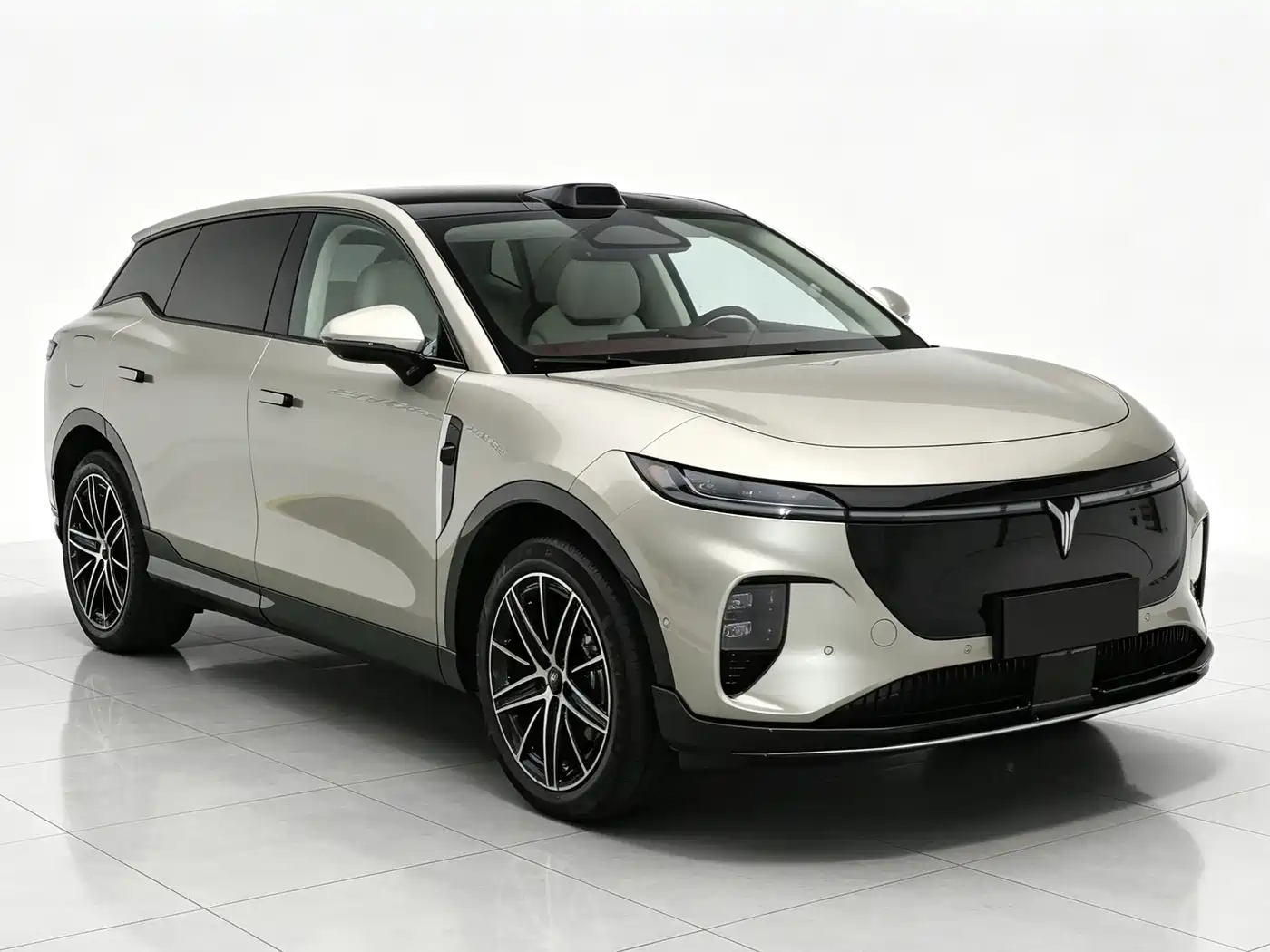 2026 Voyah Auto Voyah Zhiyin