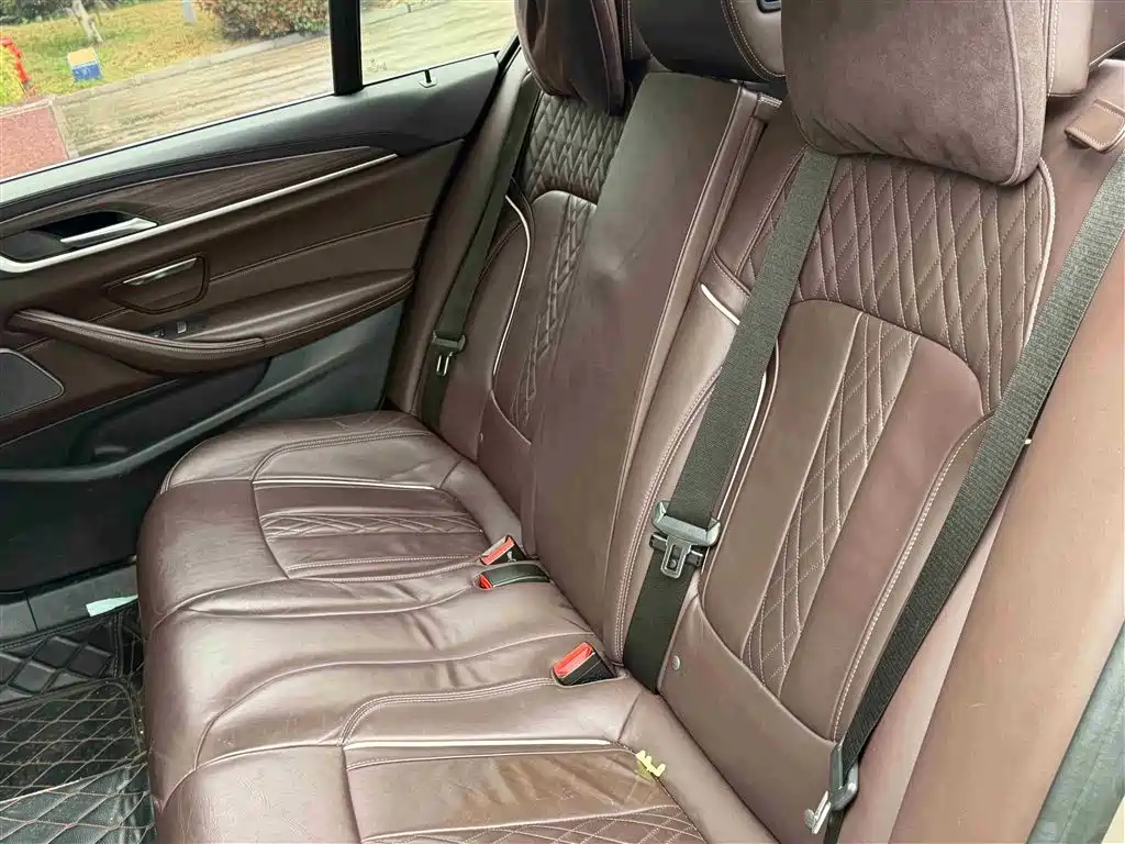 BMW 5 SERIES NEW ENERGY