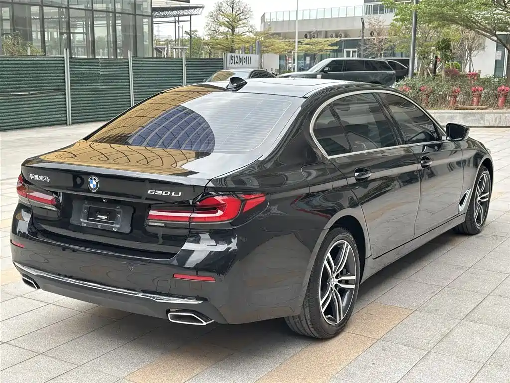 BMW 5 Series 2021 530Li Leading Luxury Package фото 6
