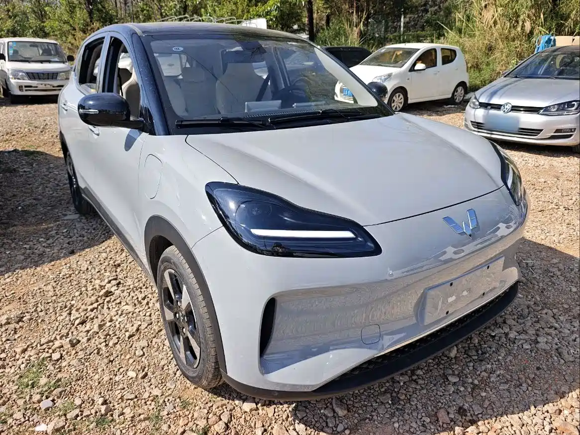 2026 Wuling Motors Wuling Binguo PLUS