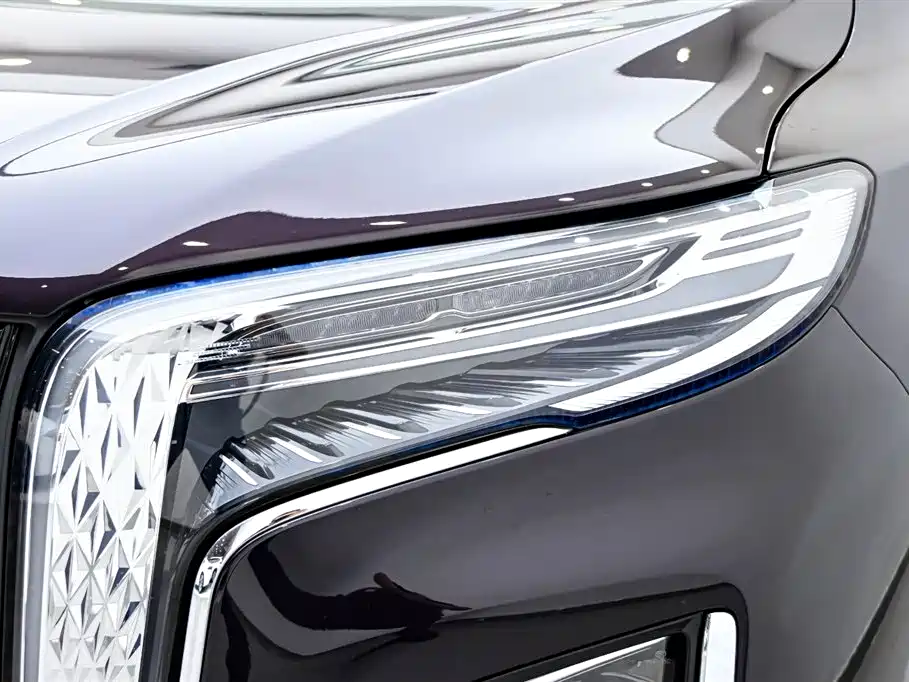 Hongqi HQ9 PHEV 2024 Model 2.0T AWD Luxury Edition фото 9