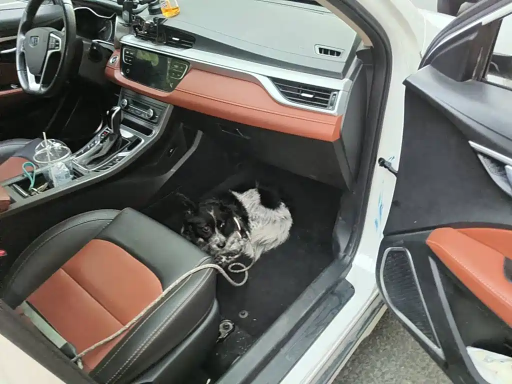 Geely Vision S1 2018 2018 Model 1.5L CVT Speed
