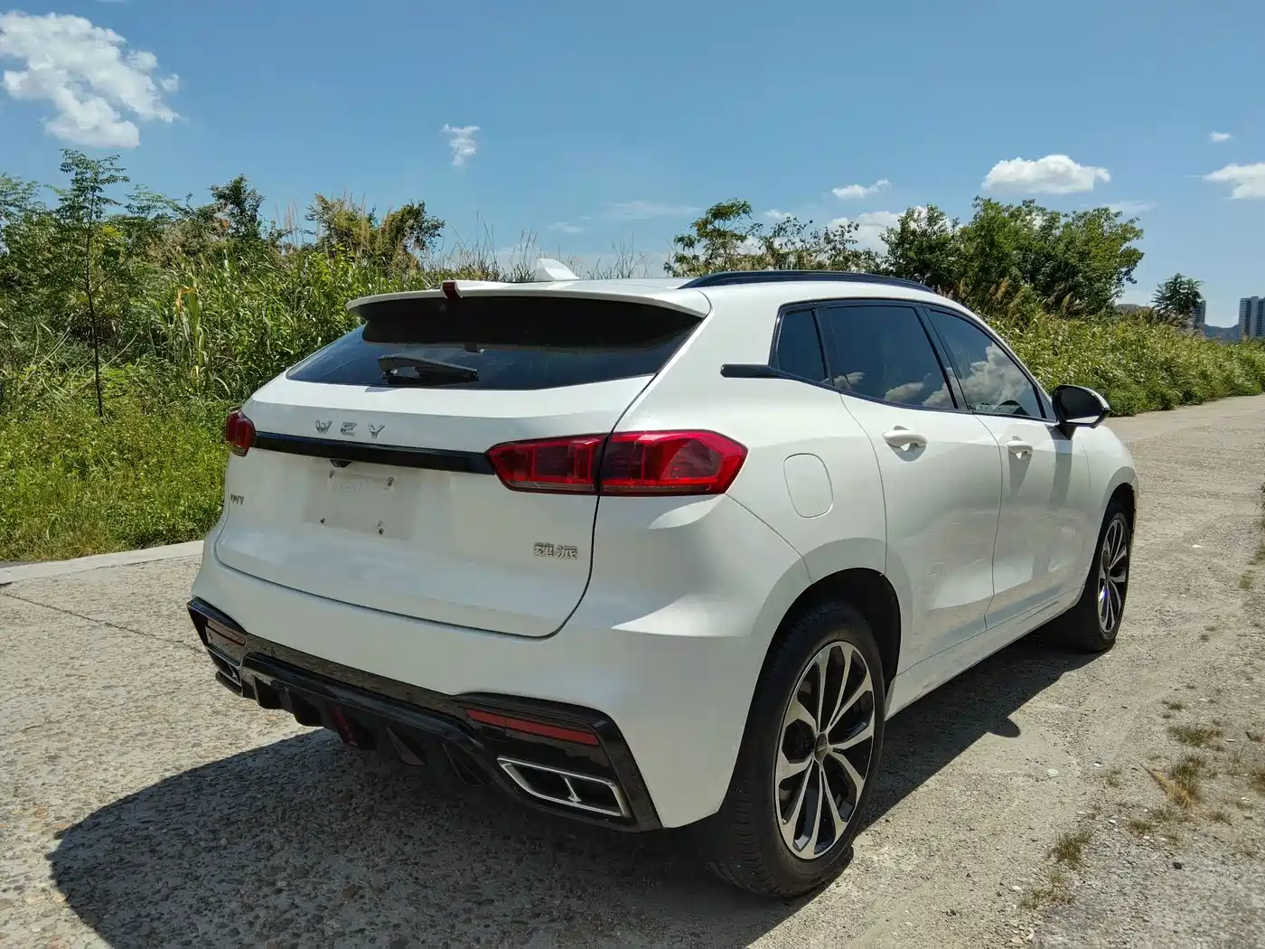 WEY VV7 2020 2020 Model 2.0T Flagship