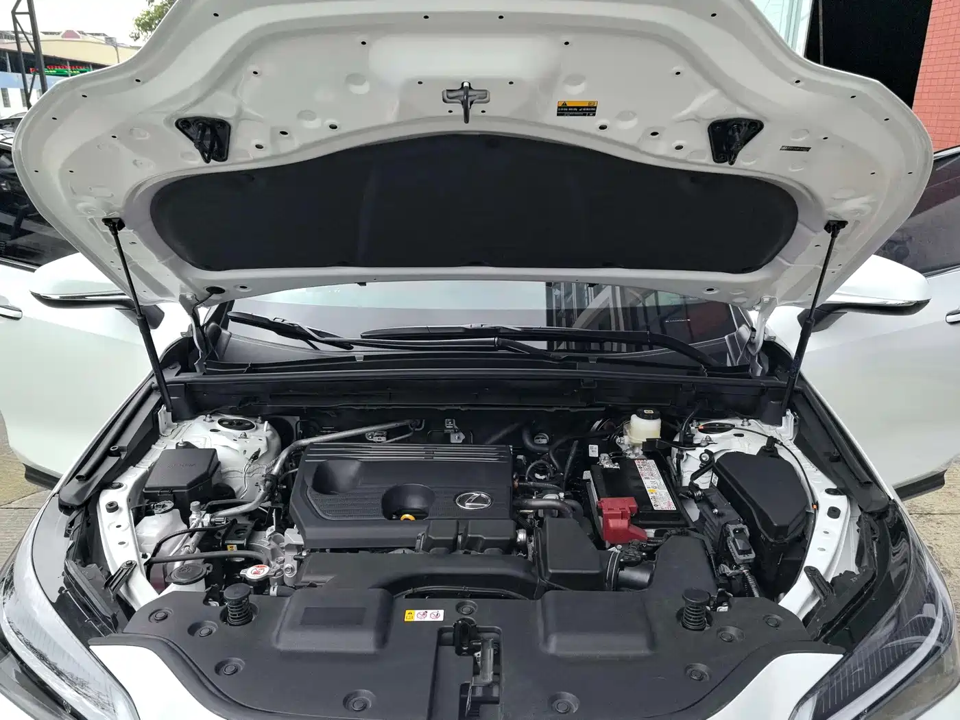 Lexus NX 2026 2025 Model 200 Base Version