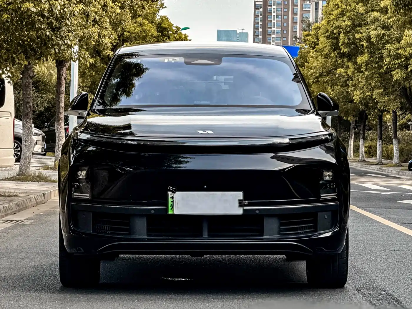 Li Auto Li L8 2023 2023 Pro