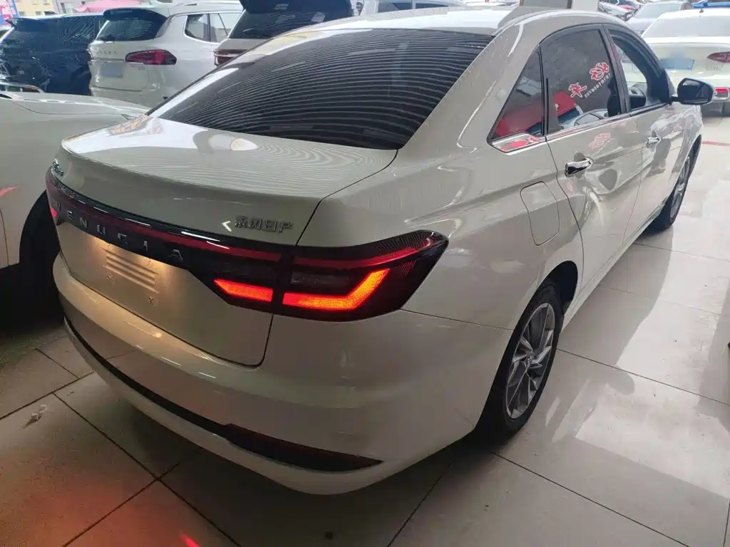 2025 Venucia D60