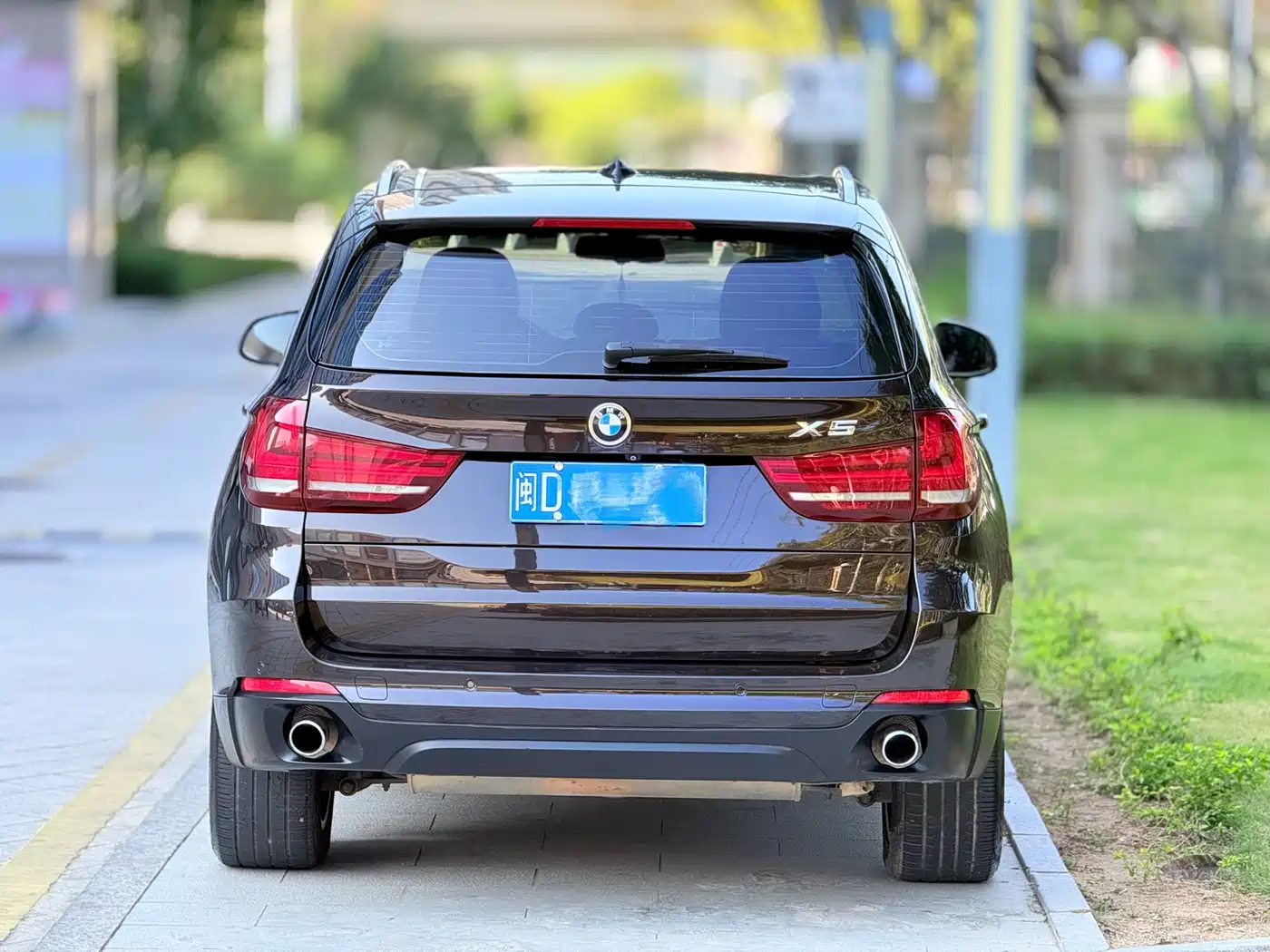 BMW X5 (Import) 2014 xDrive35i Elegance фото 5