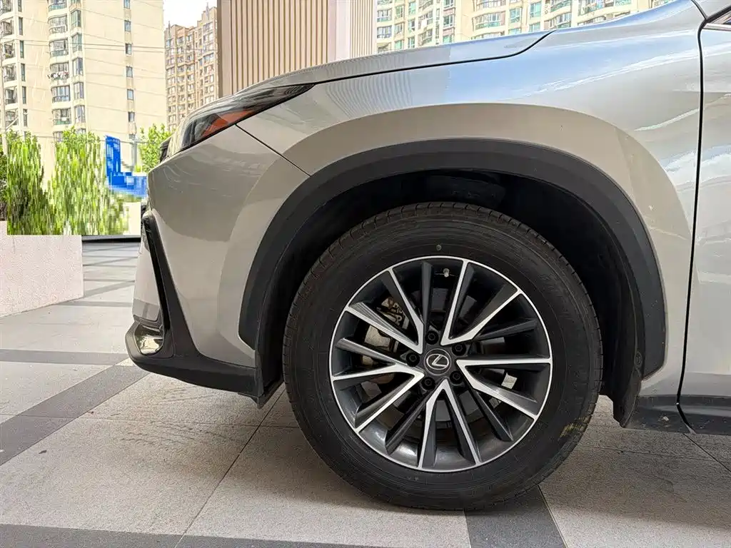 Фото 11 - Lexus NX
