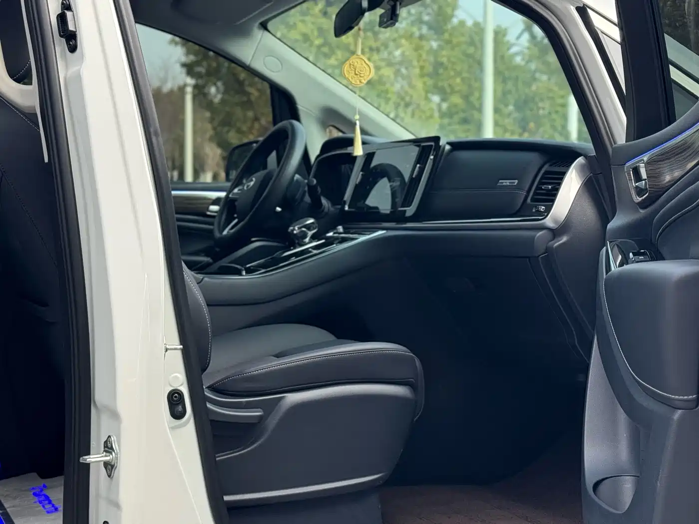 GAC Trumpchi Trumpchi M8 2024 Leadershow Series 390T Luxury Edition фото 11