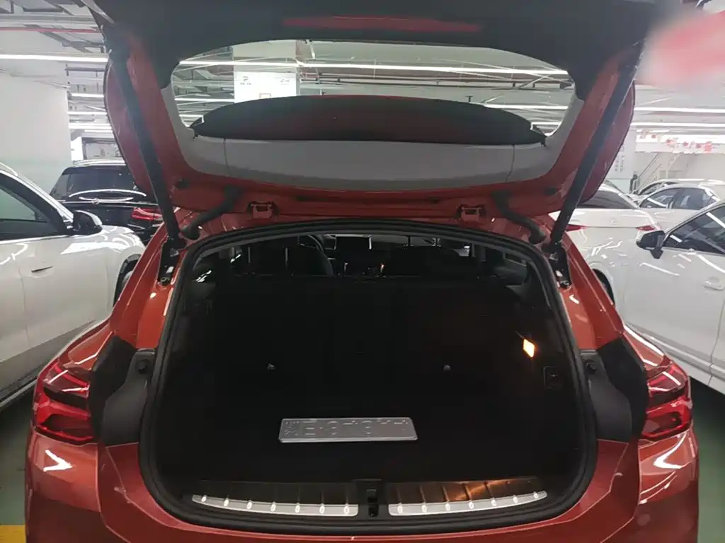 BMW X2 (Import) 2019 2019 sDrive20i M Off-Road Package China VI