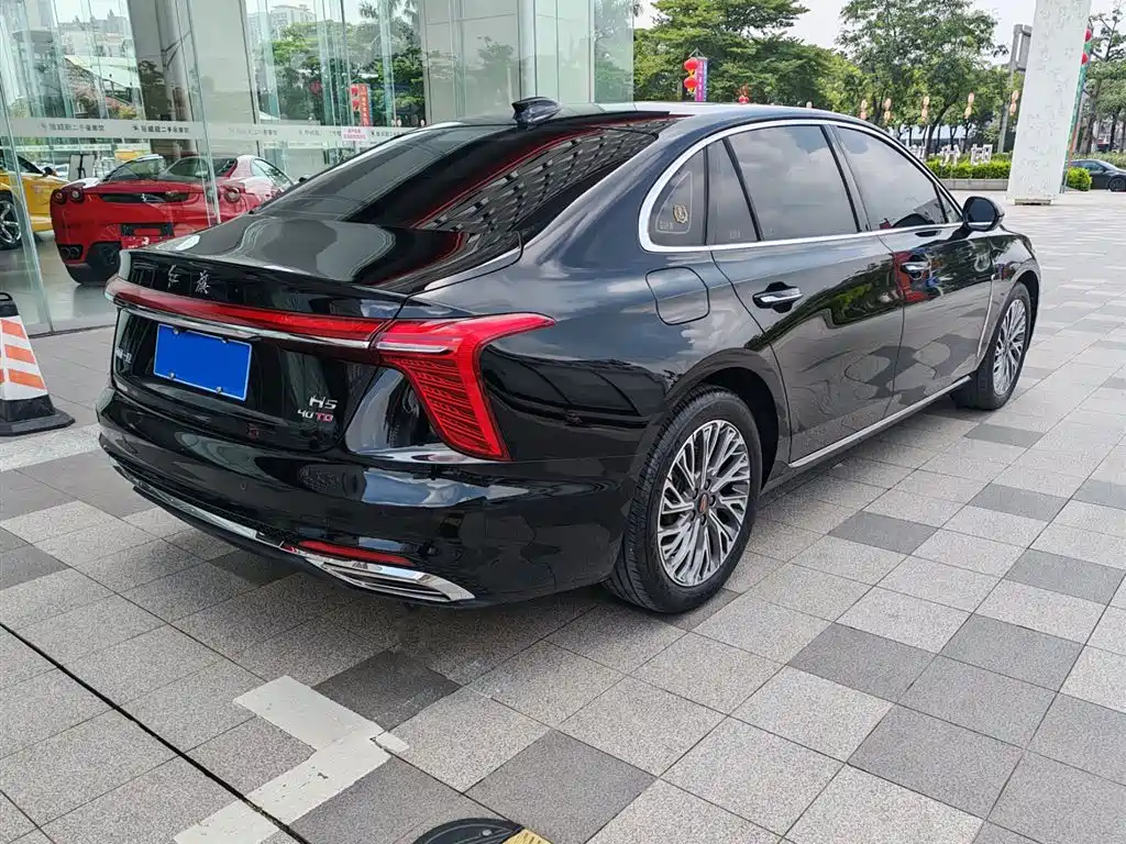 Hongqi H5 2025 2.0T Automatic Flag Celebration 500,000 Units Anniversary Edition фото 9