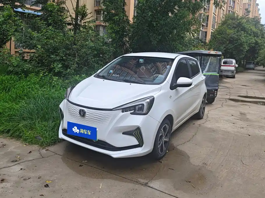 Changan Benben E-Star 2021 2022 Appreciation Edition Colorful LFP