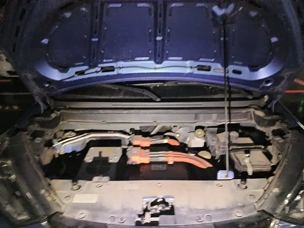 Nezha Auto Nezha N01 2019 2019 380v