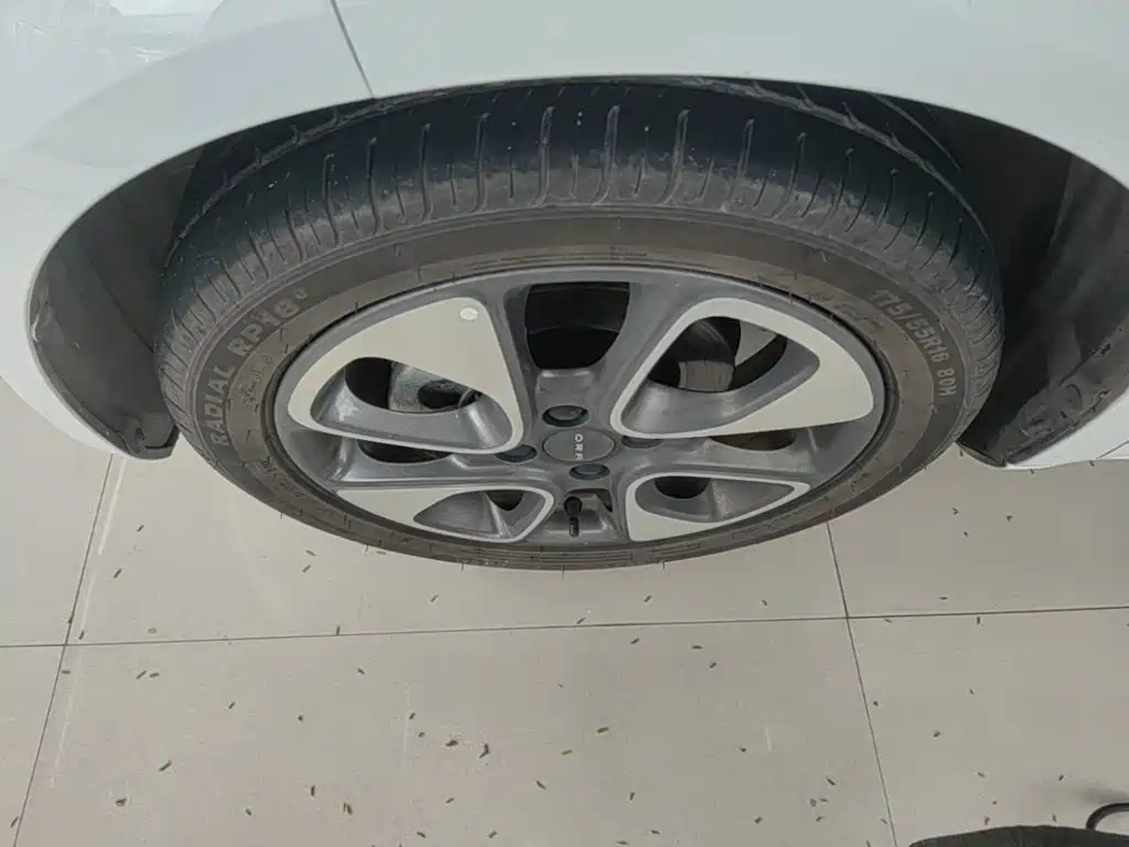 Ora White Cat 2021 2020 305km Luxury