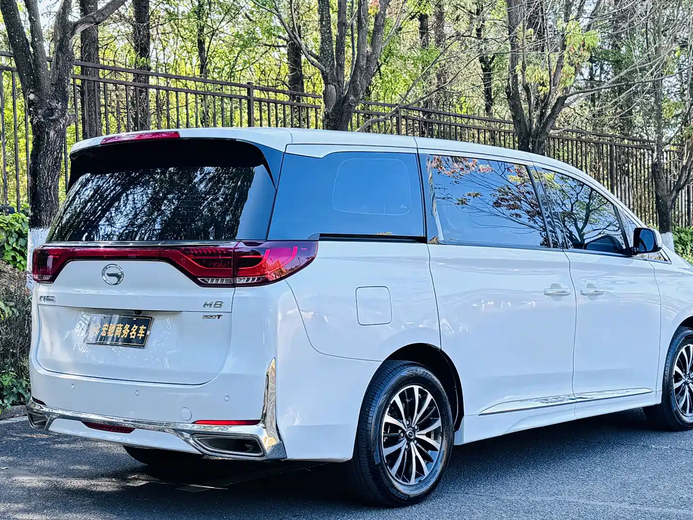 GAC Trumpchi Trumpchi M8 2023 Leading Series 390T Luxury Edition фото 5