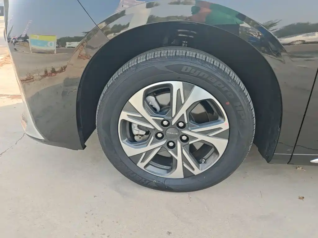 Фото 23 - Maxus Maxus G90