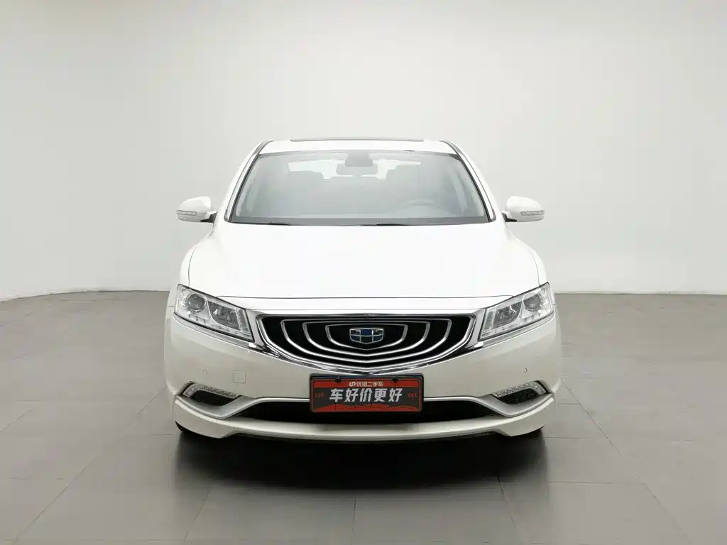 Фото 3 - Geely Borui