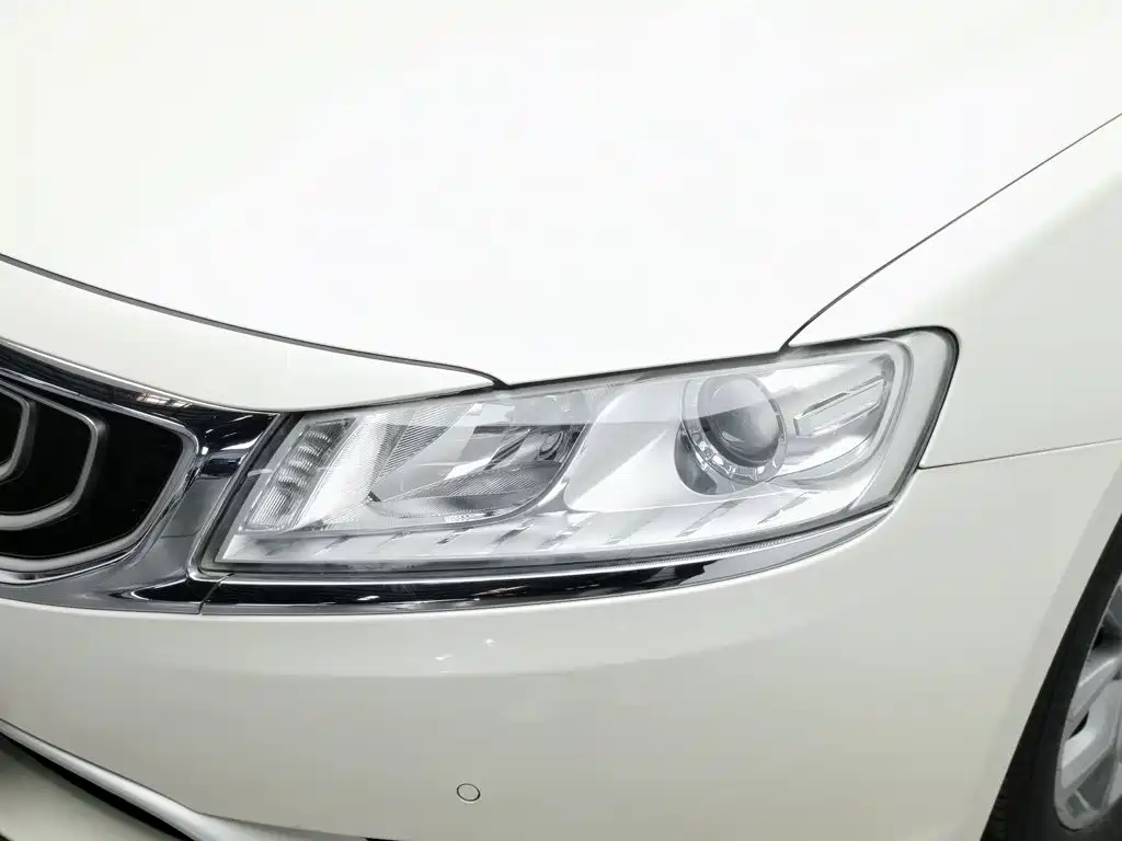Фото 7 - Geely Borui