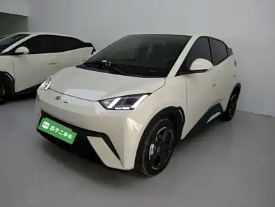 BYD Seagull