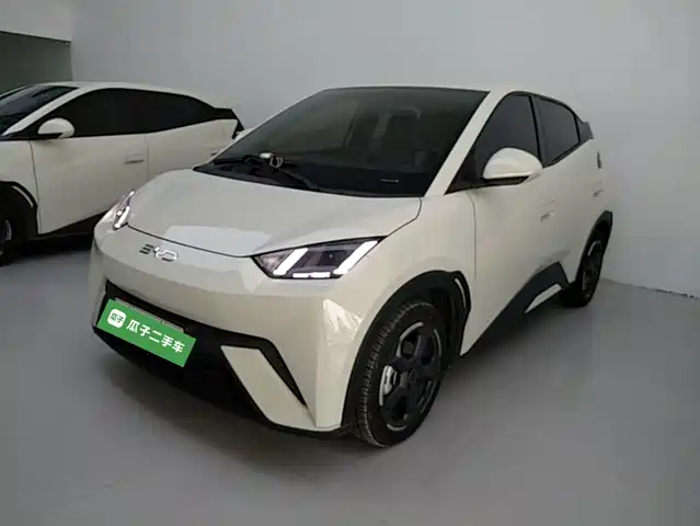 BYD Seagull Слава, 305km, Свобода