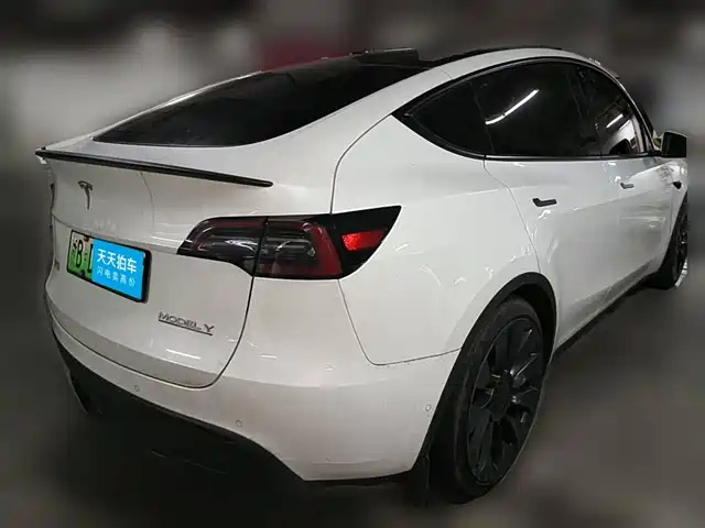 Tesla Model Y 2022 Performance High-Performance All-Wheel Drive Version — фото 5