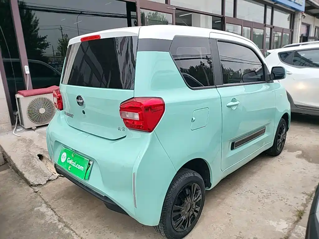 BAW (Beijing Automobile Works) Yuanbao 2023 2022 Model Joy Moe Edition